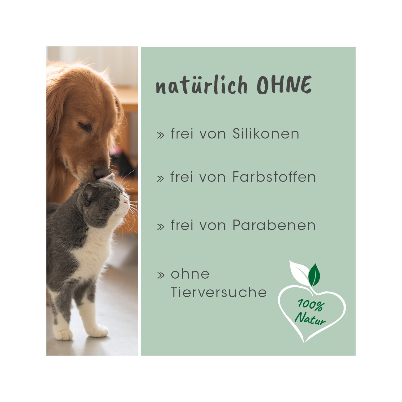 cdVet VeaVet Euphrasia Augenpflege 20ml