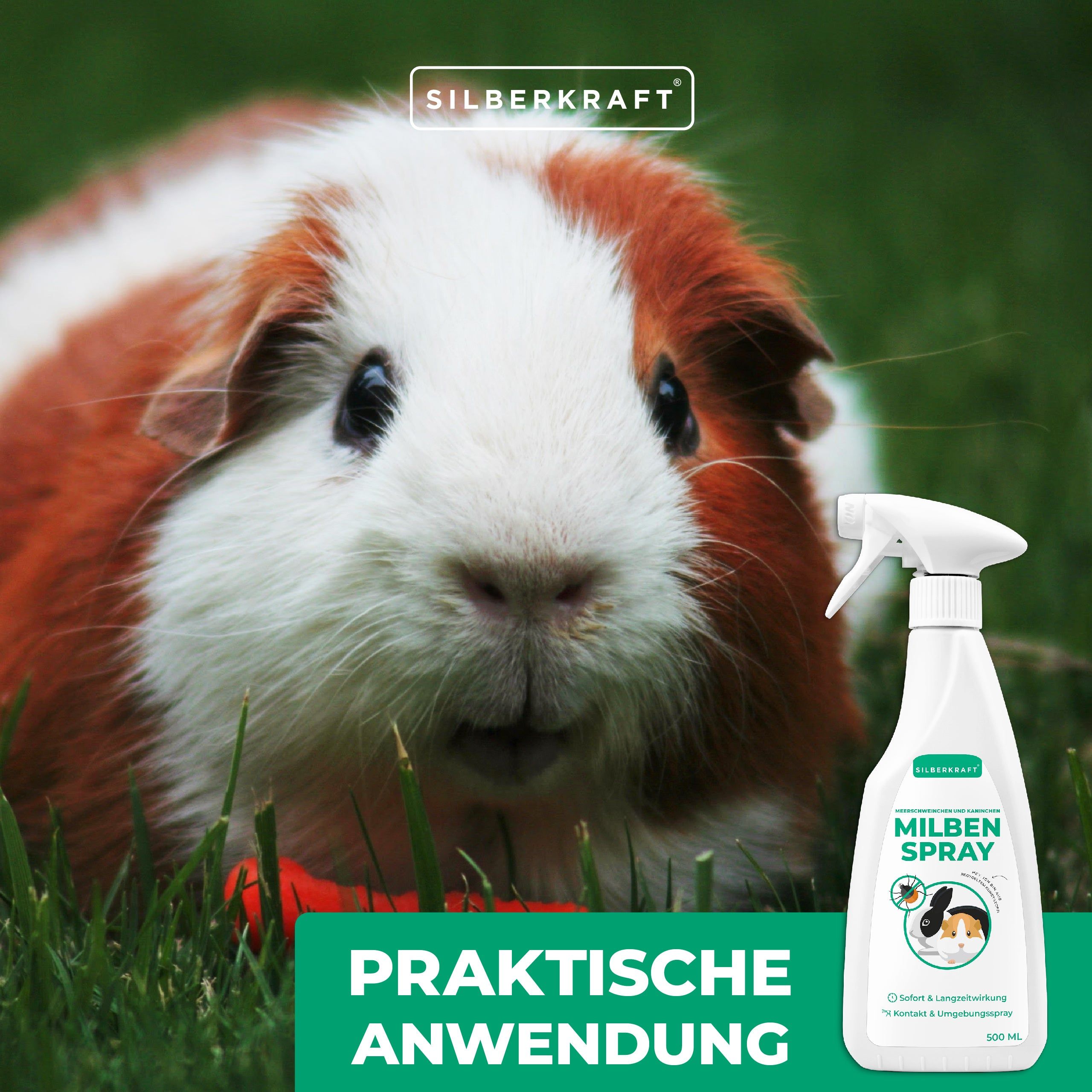 SILBERKRAFT Milbenspray Meerschweinchen & Kaninchen