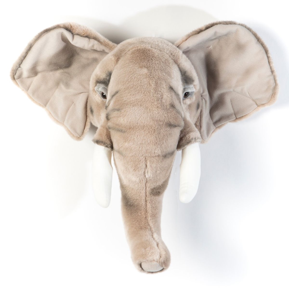 Trophée éléphant  Wild & Soft