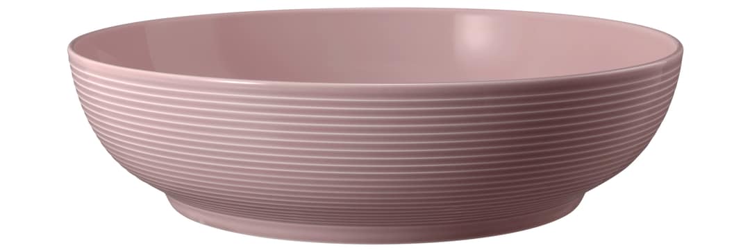 Seltmann Weiden Foodbowl BEAT 2er Set 25 cm Altrosa