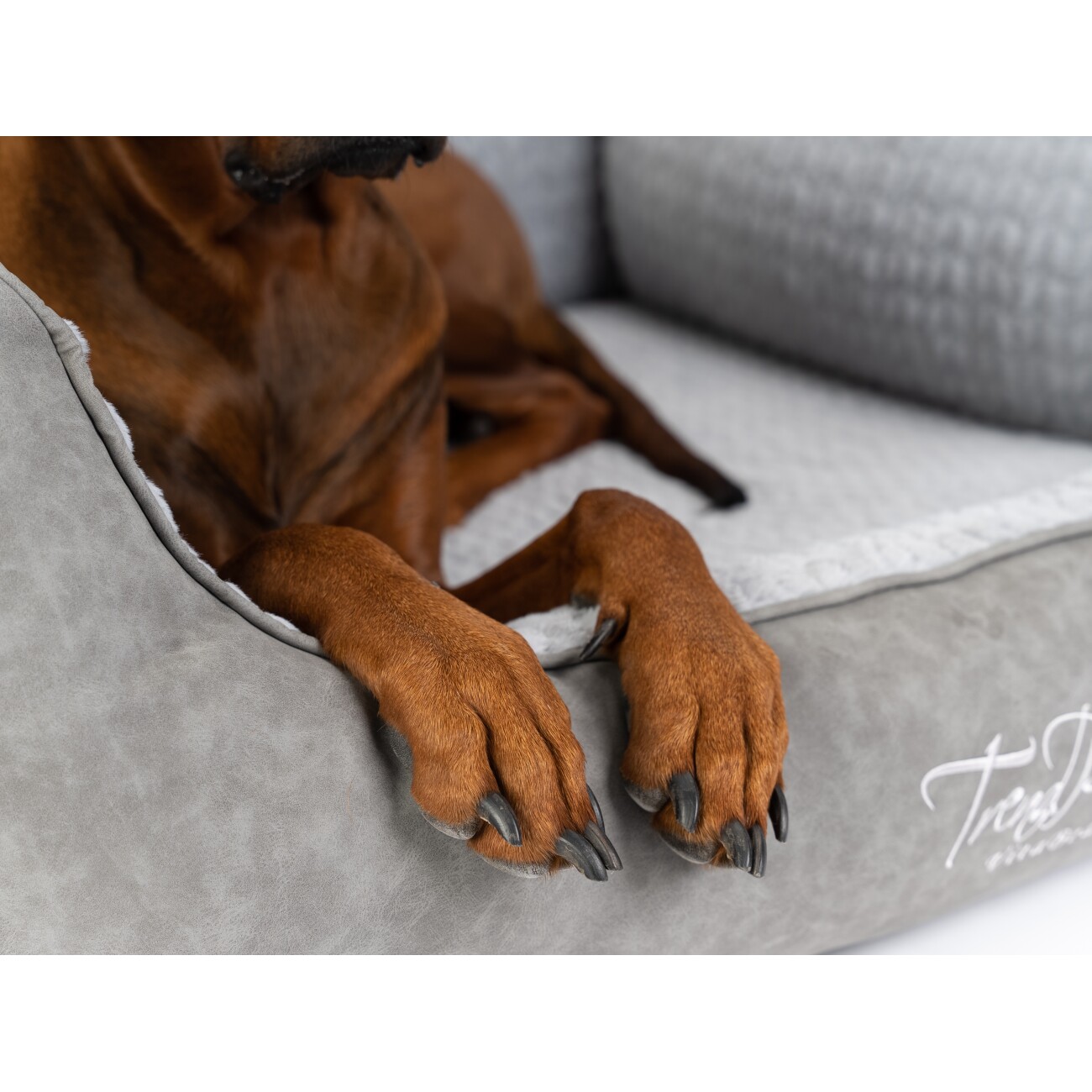 TrendPet VitaBed Style orthopädisches Hundebett grau S