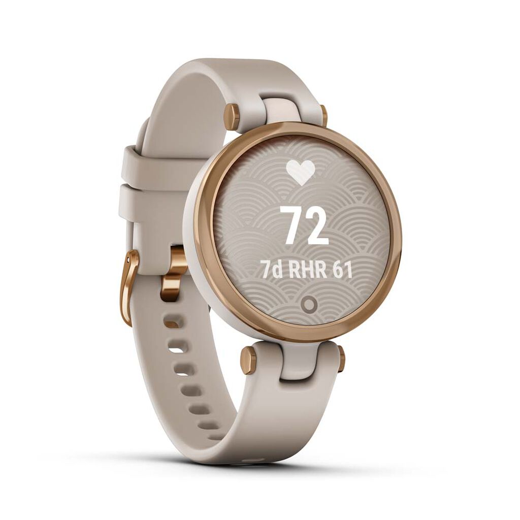 Montre Connectée Garmin Lily