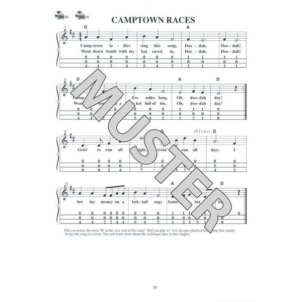 Mel Bay First Lessons Dulcimer