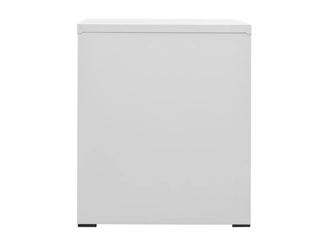 Classeur Gris clair 46x62x72,5 cm Acier
