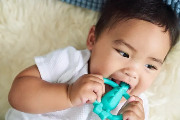 Matchstick Monkey Teether Dinosaur