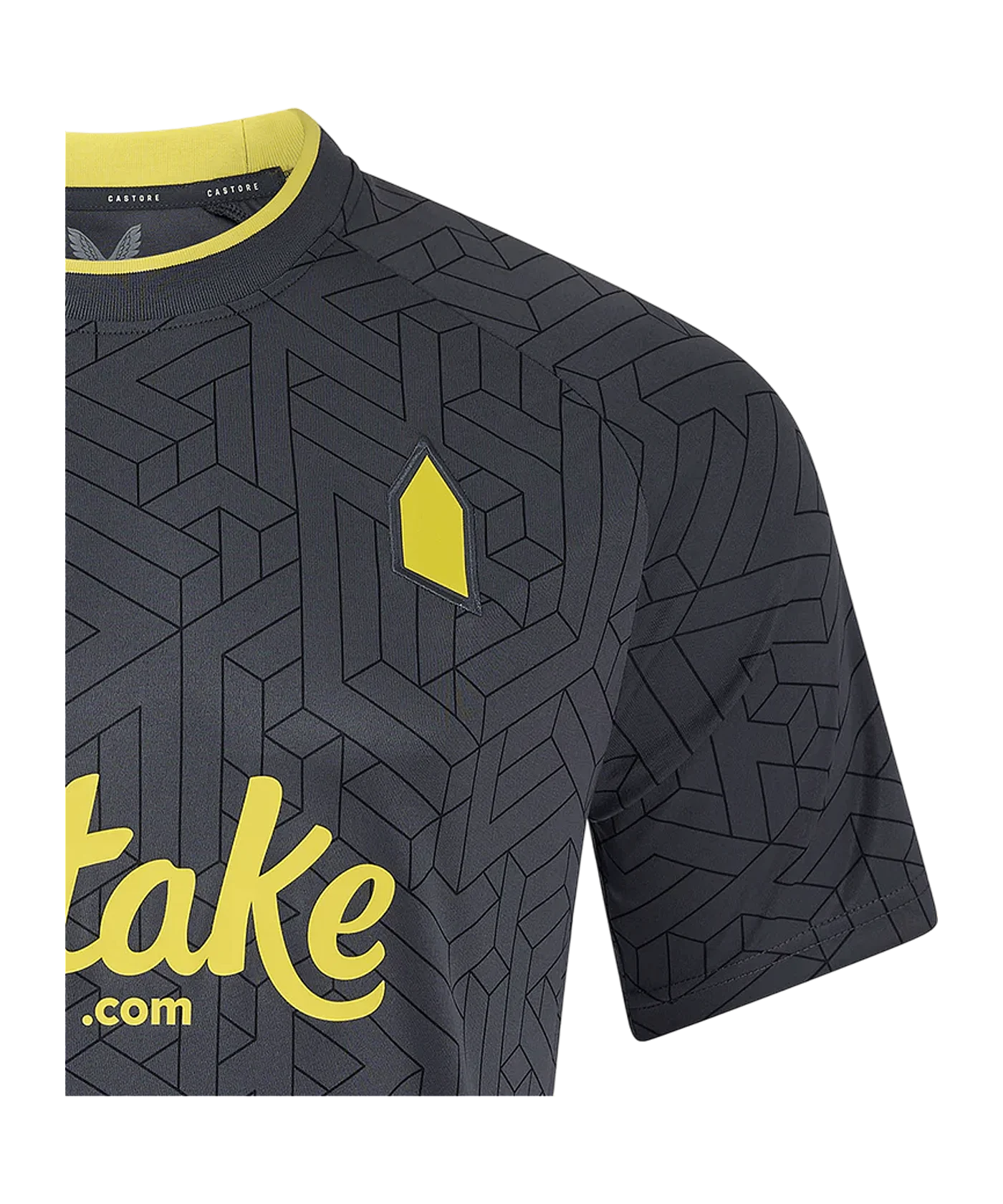 Castore FC Everton Trikot Away 2024/2025 Grau F110