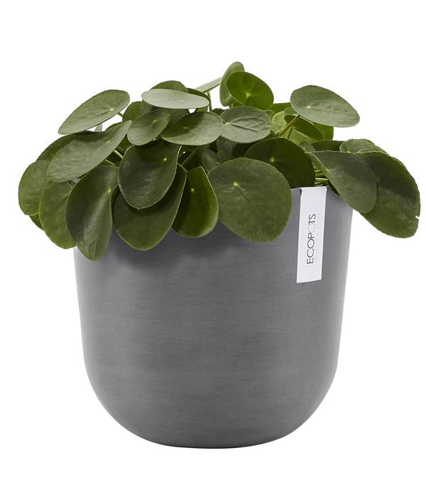 Ecopots Kunststoff-Topf Oslo, rund