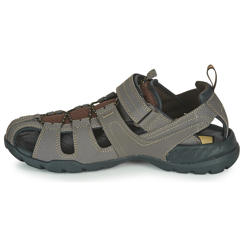 Teva - FOREBAY - Marron