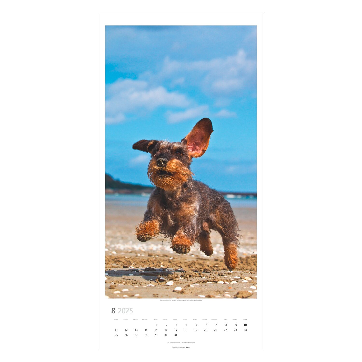 Kalender 2025 SITZ! PLATZ! BLEIB!  - 2025