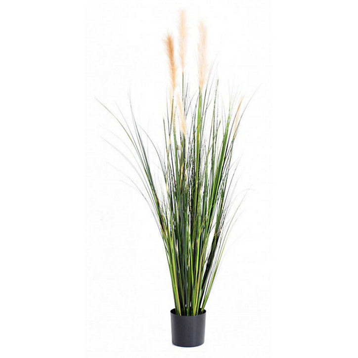 Graminée Carex artificiel h.180 cm