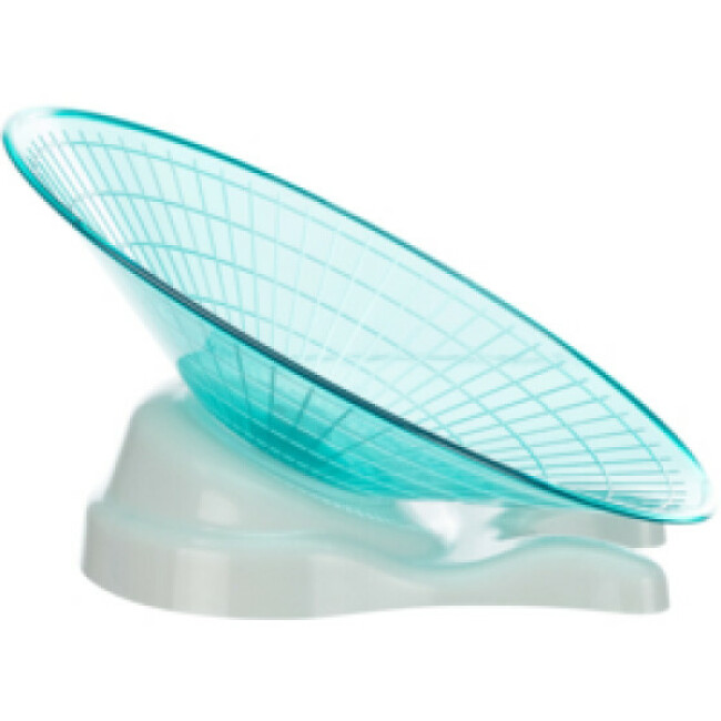 Disque d'exercice pour rongeurs en plastique