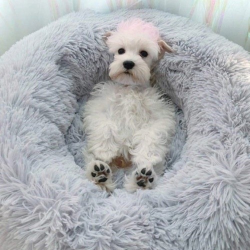 Cama de pelúcia cinza para animais de estimação