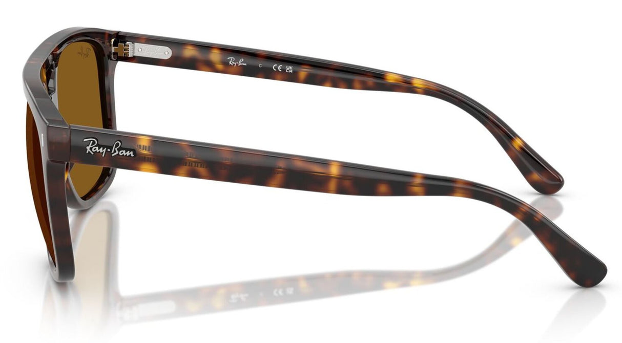Ray-Ban<br>RB2213