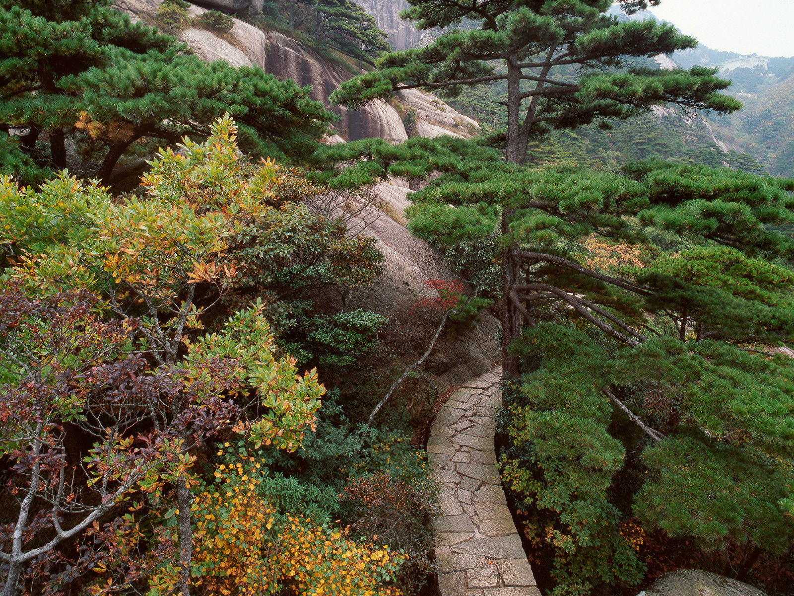 The way to Tao by Olivier Föllmi - Limited Edition. Edition of: 100. Signed.