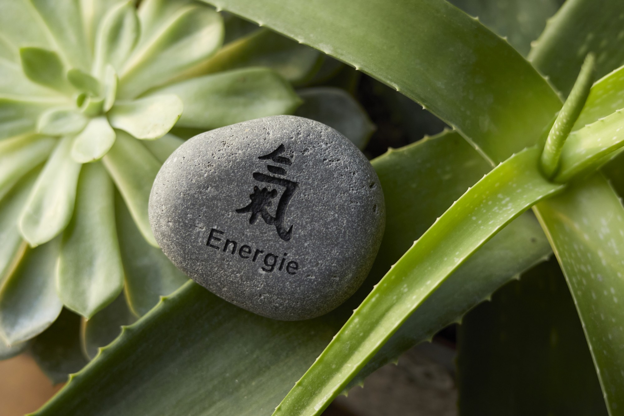 Flusskieselstein 'Energie', grau, T 8 cm, B 8 cm von fischer's lagerhaus