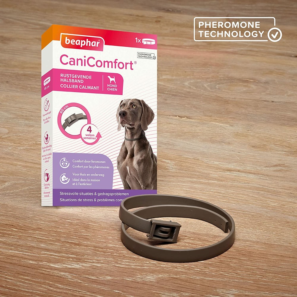 Collier calmant aux phéromones chien