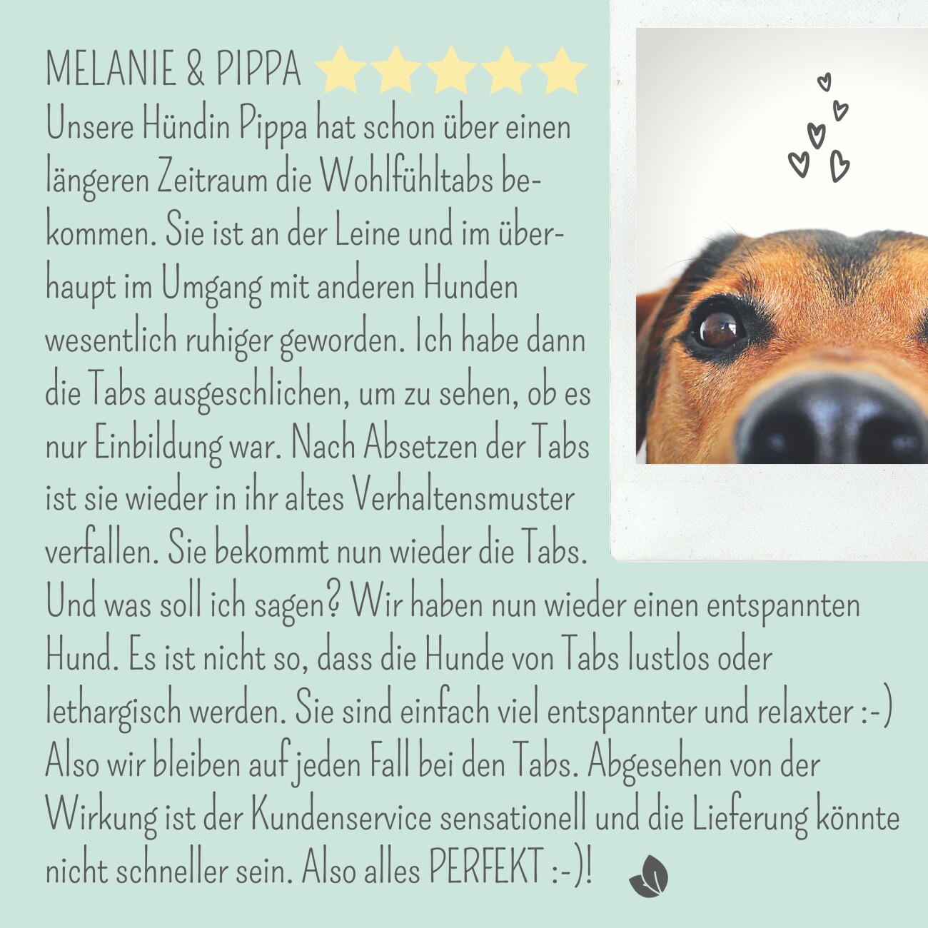 noms+ Wohlfühltabs für Hunde bei Stress & Angst 110g
