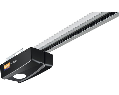 Hörmann sectionaaldeur EcoStarMatic, antraciet RAL 7016 met M-profilering, 2500 x 2125 mm, inclusief garagedeuropener Liftronic 700 2e generatie.