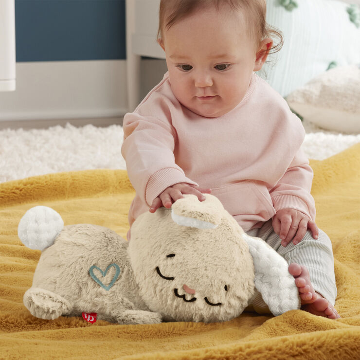 Fisher Price Fisher Price Sensimals Be