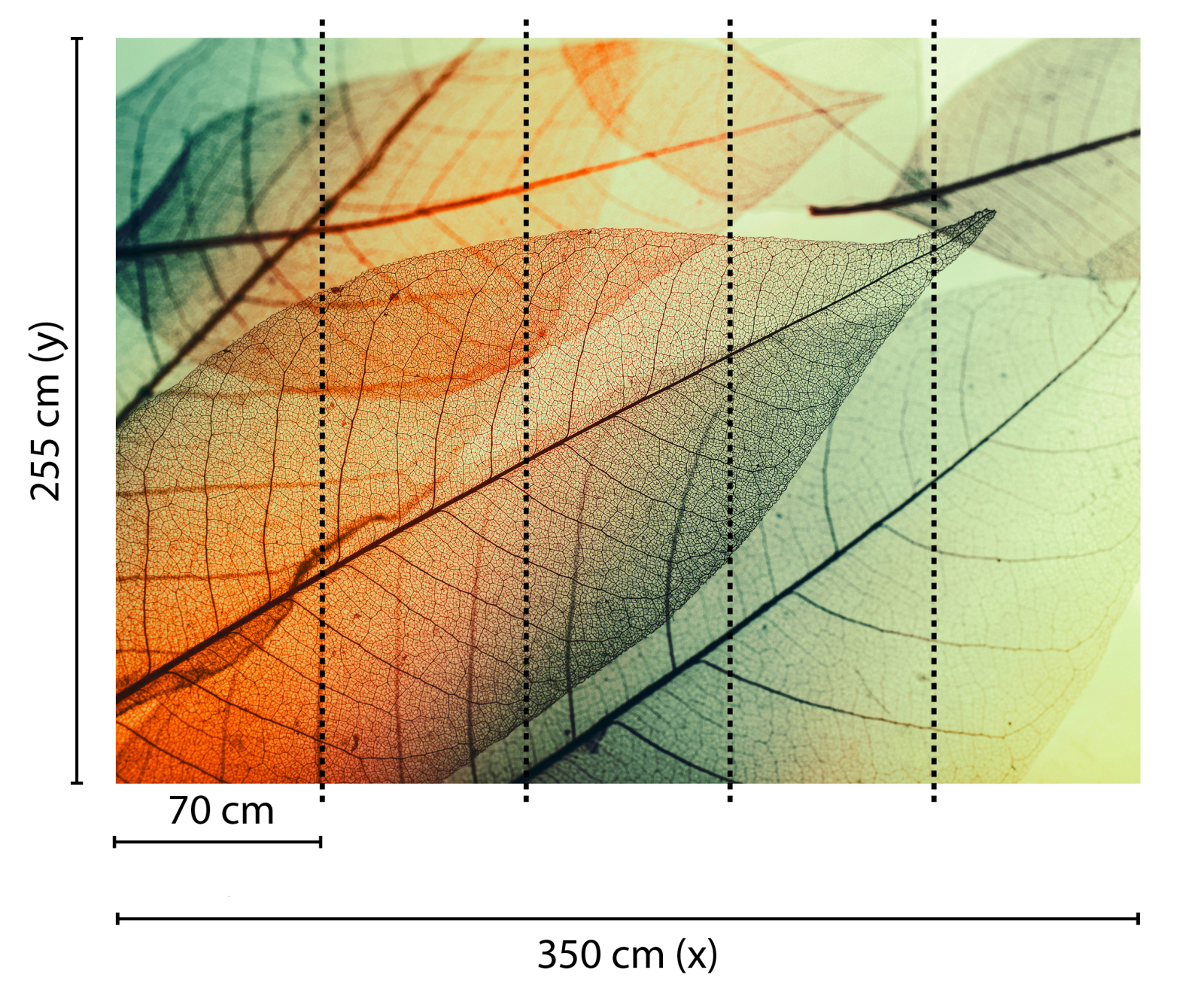 Fototapete DESIGNWALLS - grün-orange - Blätter - 2,55 Meter