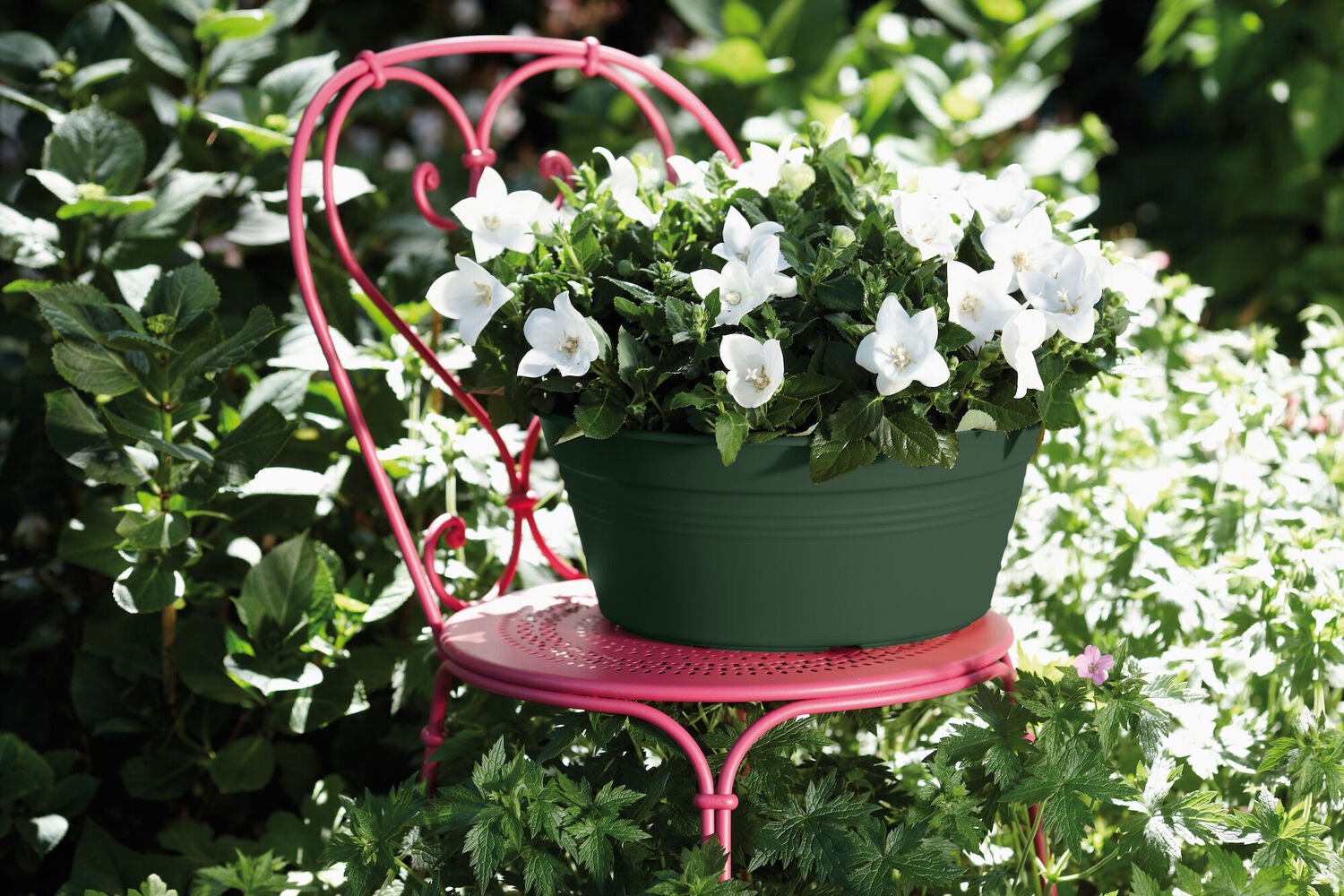 Elho plantenschaal Green Basics groen D 33 H 13,9 cm