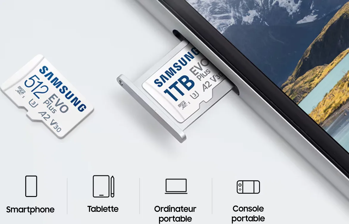 Samsung MicroSDXC EVO Plus 512 Go (2024) Cartes mémoires