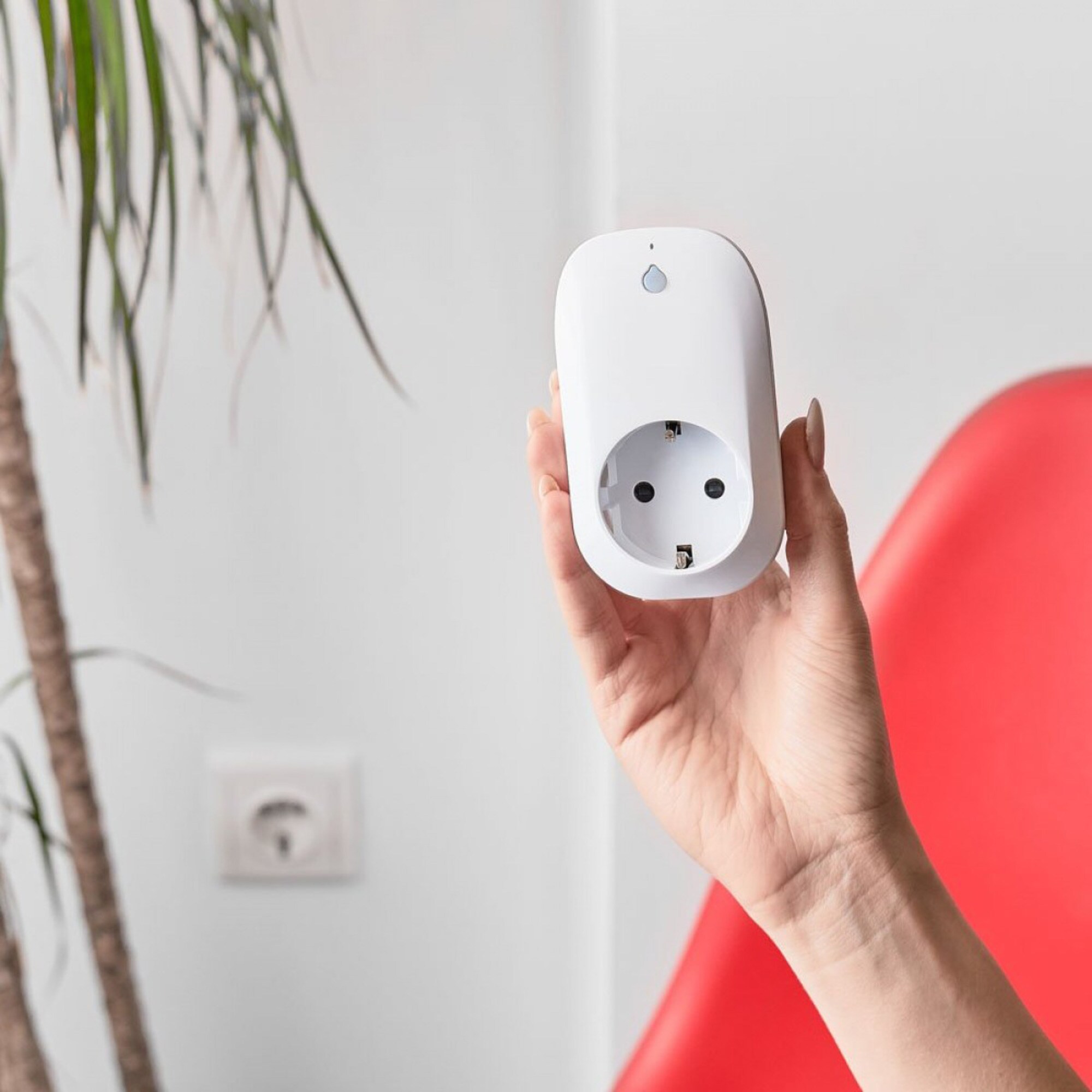 Shelly Stecker Plug