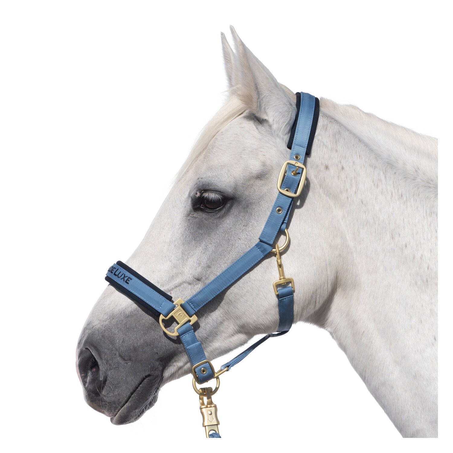 Cheval de Luxe Halfter  - steel blue - Pony