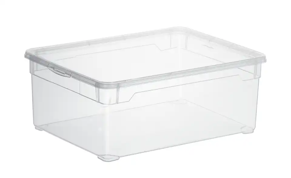 Rotho Aufbewahrungsbox mit Deckel 36,5 cm