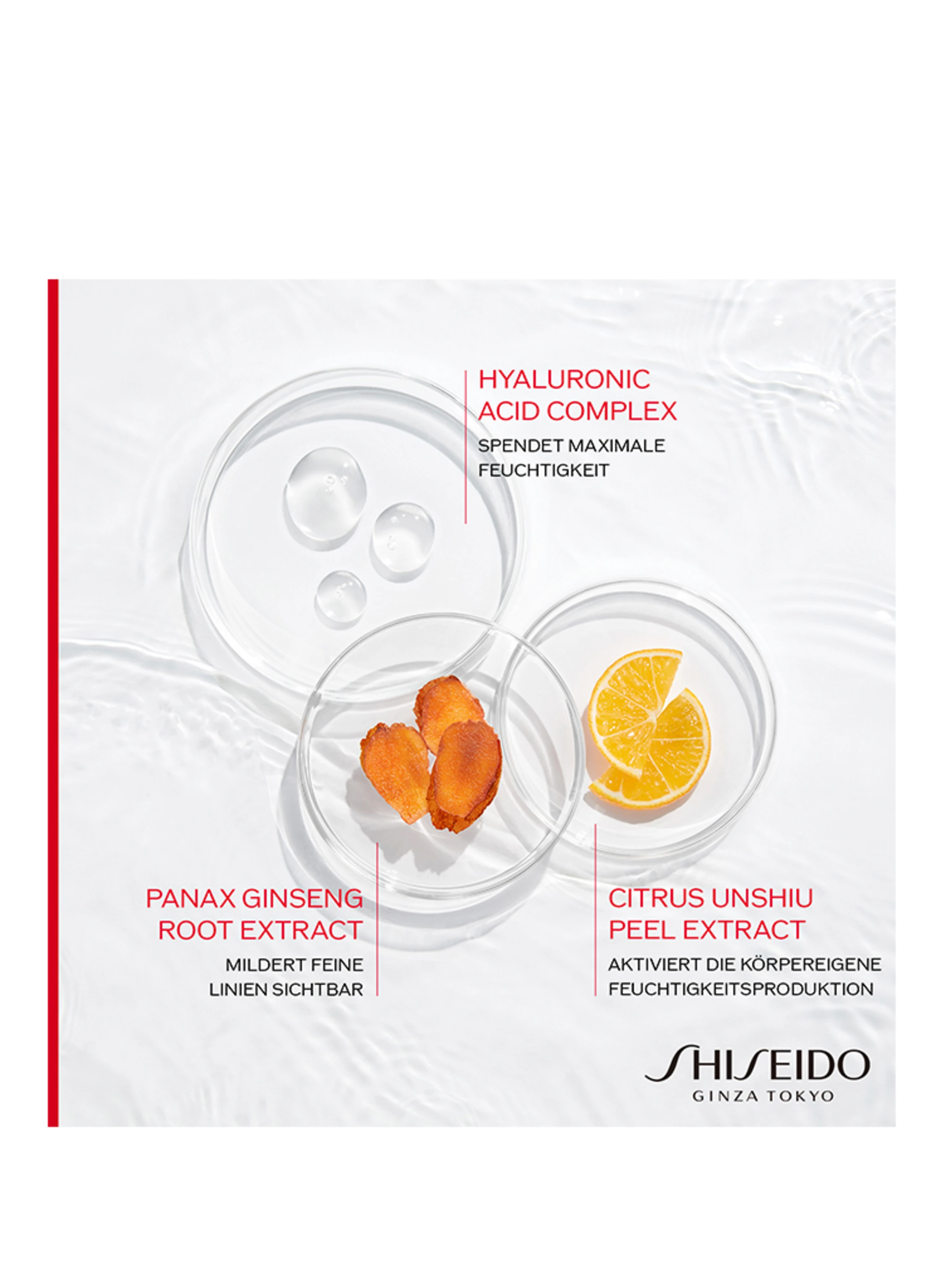 SHISEIDO ESSENTIAL ENERGY REFILL