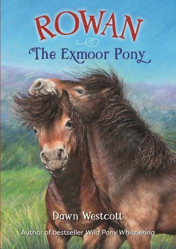 Rowan The Exmoor Pony (Paperback)