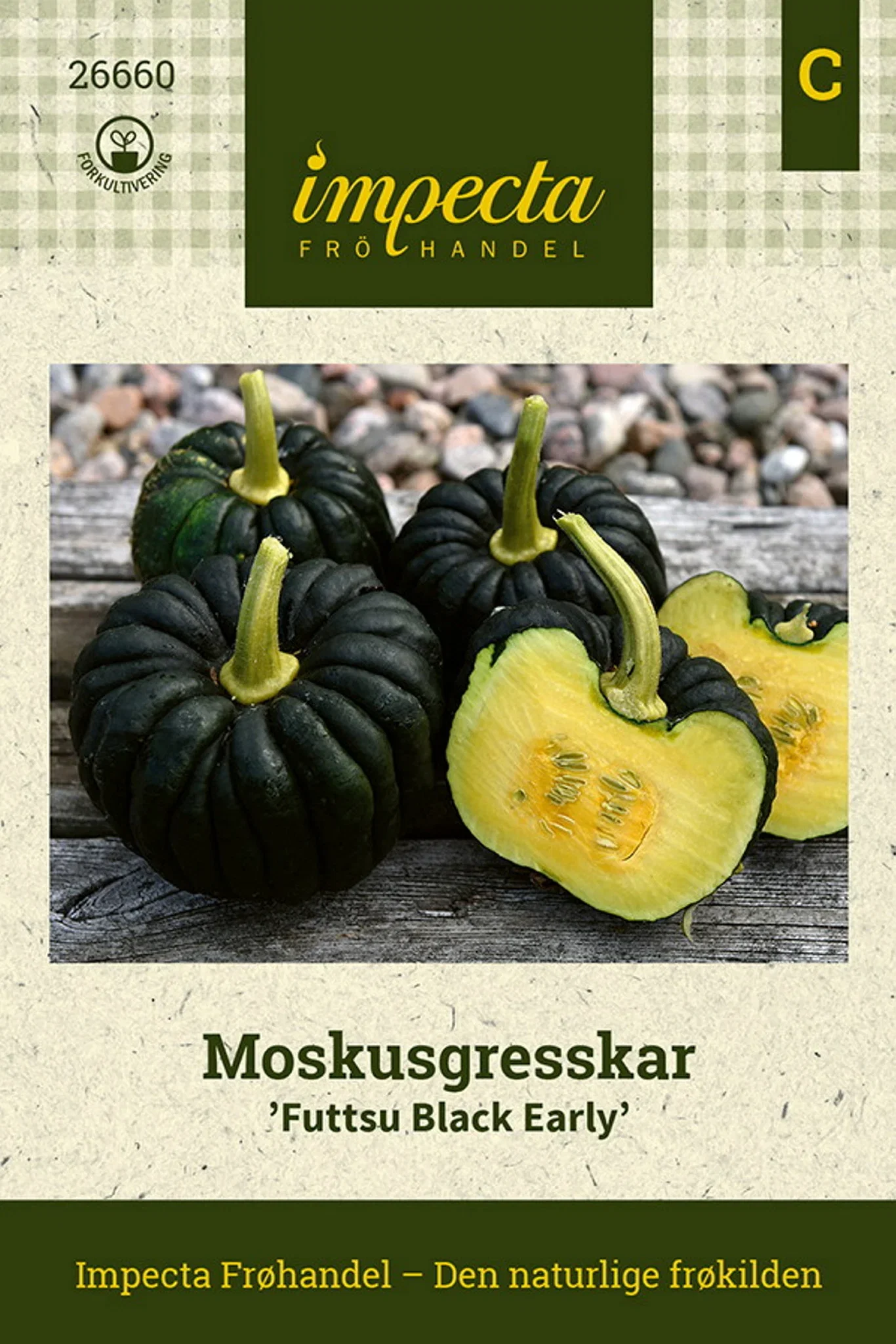 Cucurbita moschata 'Futtsu Black Early' Moskusgresskar 'Futtsu Black Early'