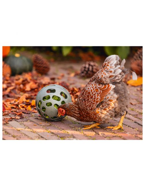 Beeztees Kip Snackbal - Kippenspeeltje - 15 cm Grijs Groen