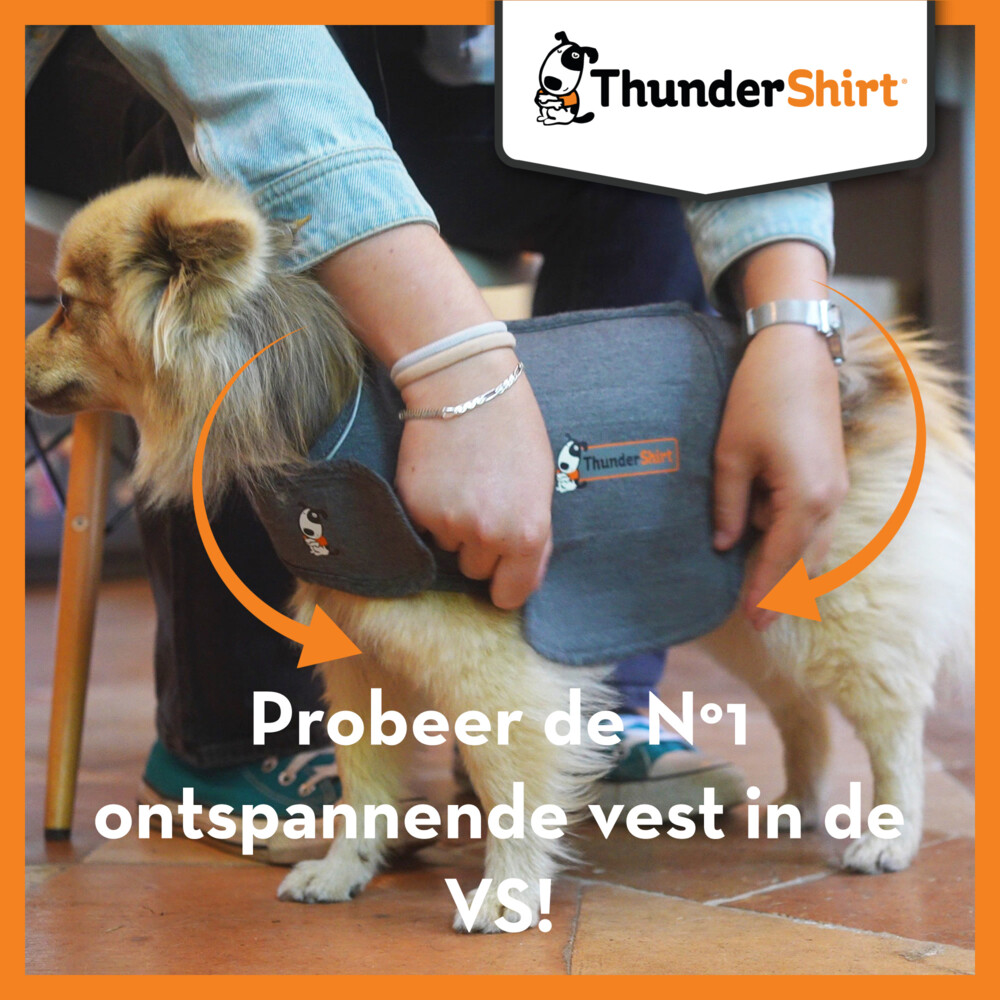 Thundershirt Hond X-Large >29 - 50 kg