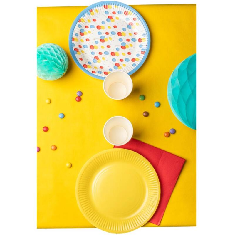 20 Assiettes en carton rondes, 23 cm