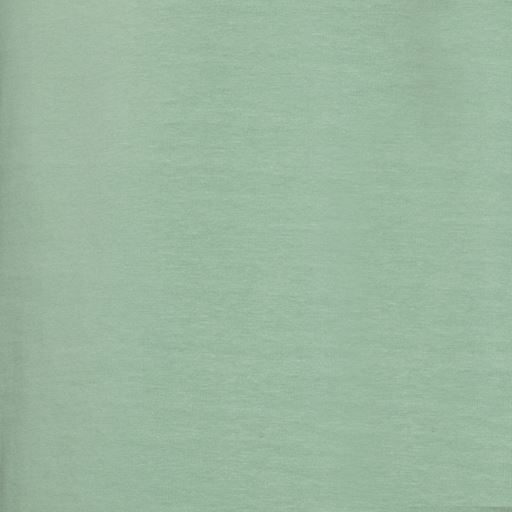 Signal Eddy Organic T-shirt, Worn Green, XXL