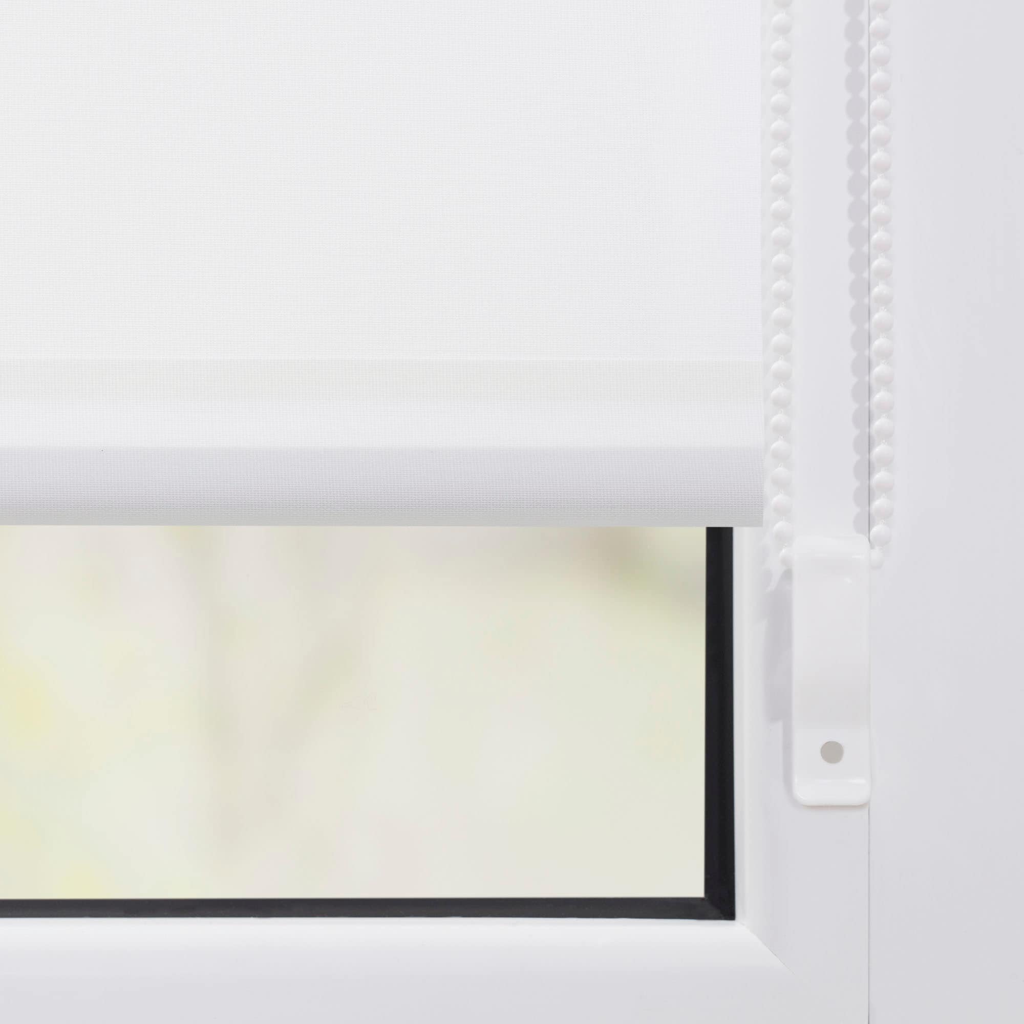 LICHTBLICK ORIGINAL Seitenzugrollo »Klemmfix Motiv Pusteblume« Lichtschutz ohne Bohren freihängend bedruckt