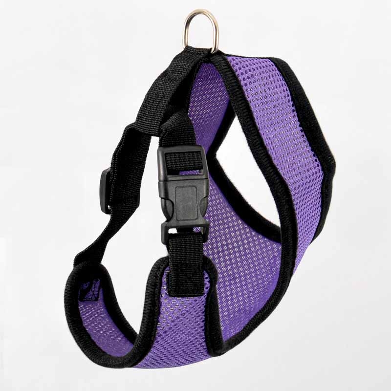 Harnais pour chien