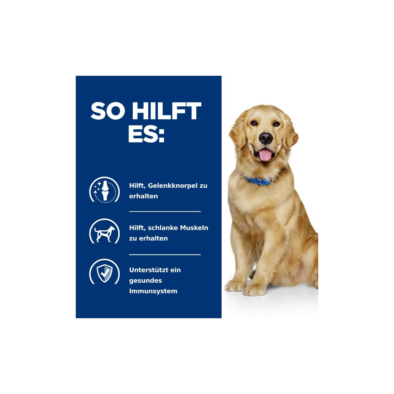 Hill's Prescription Diet Joint Care j/d Reduced Calorie 12 kg
