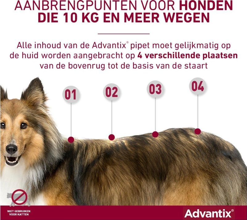 Bayer Advantix Vlooien & Teken Pipetten - Hond 40+ kg - 4 stuks