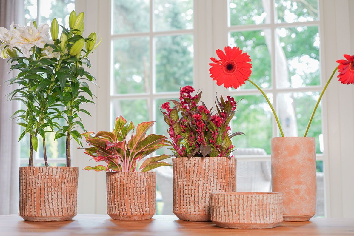TS bloempot Valene oranje D 14 H 13 cm