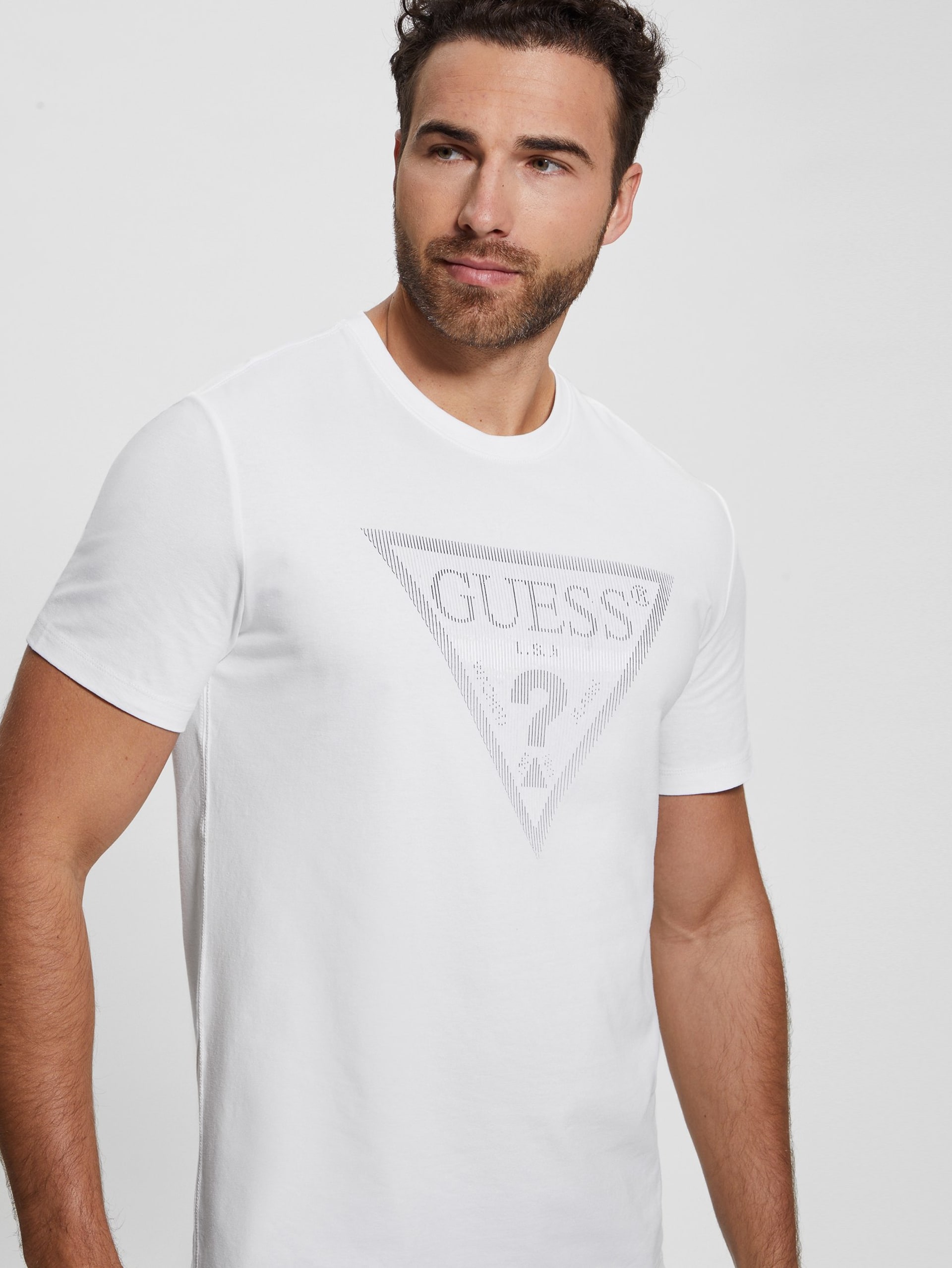 Camiseta Eco Triangle Crewneck