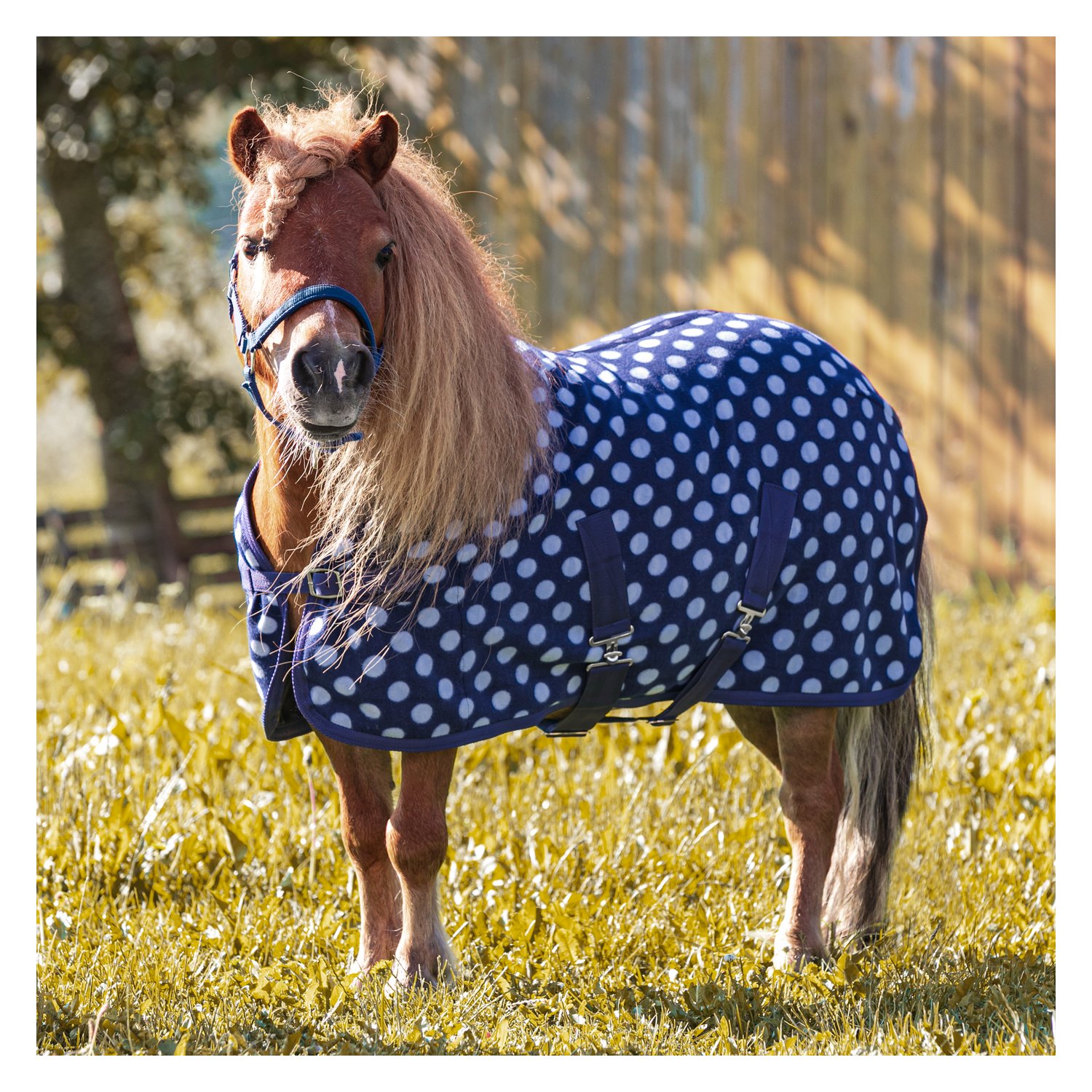 Horse-friends Abschwitzdecke  - blau