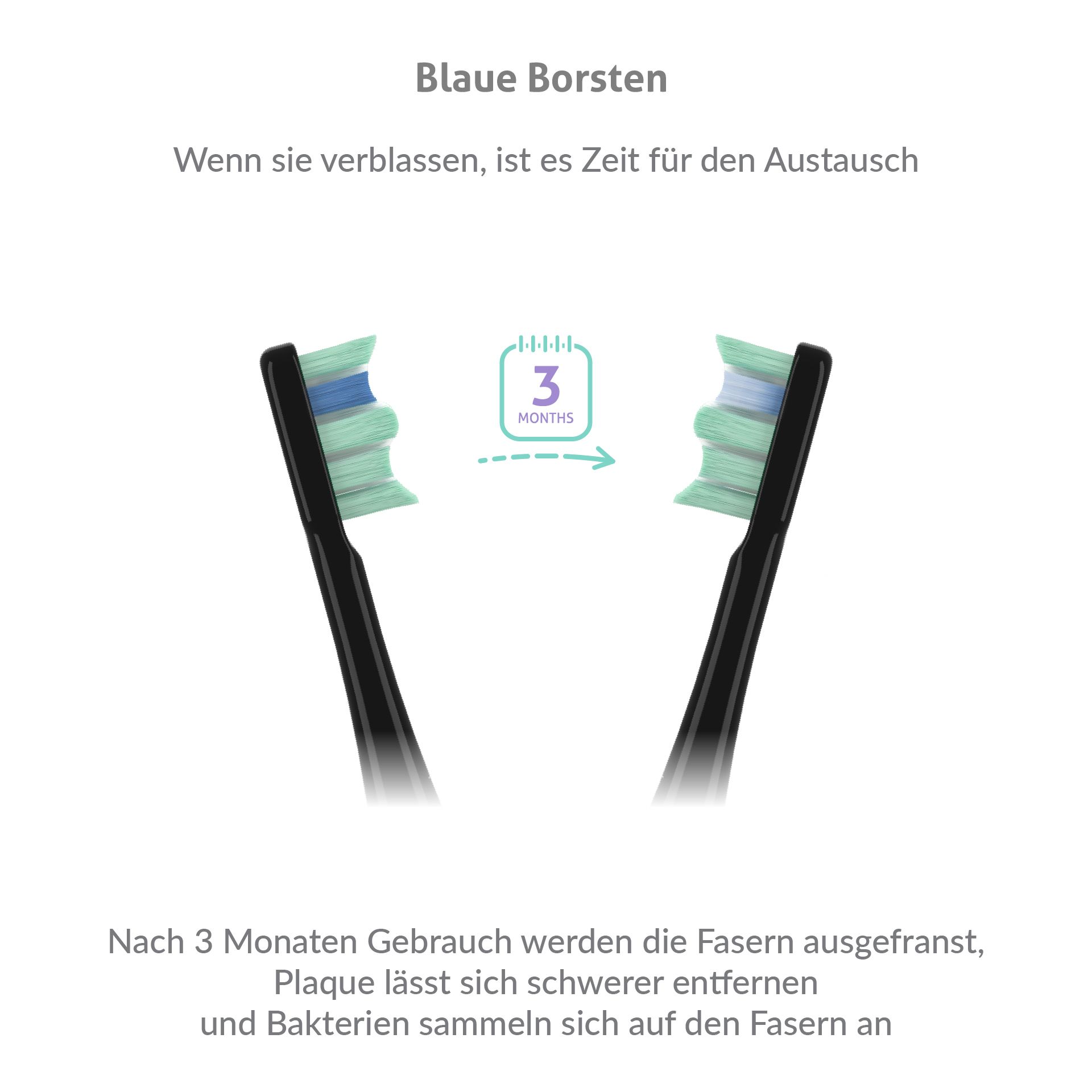 TrueLife SonicBrush Clean30 Black