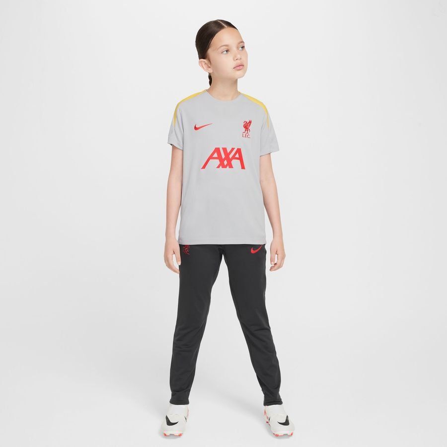 Liverpool T-shirt d'Entraînement Dri-FIT Strike 3ème - Gris/Jaune/Rouge Enfant