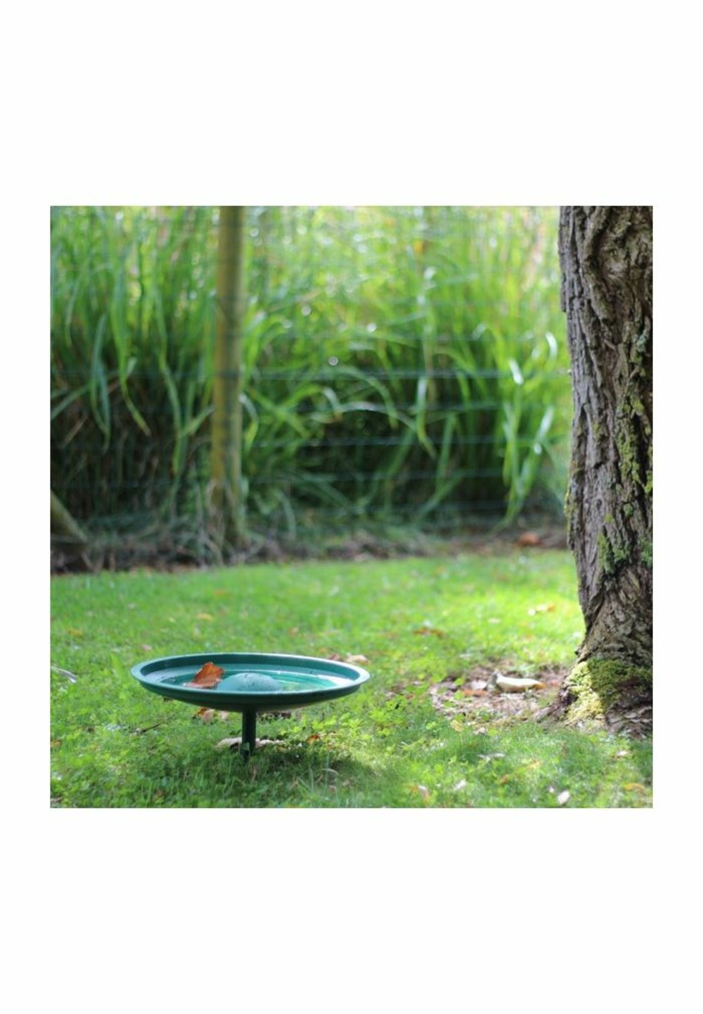 Abreuvoir bain universel