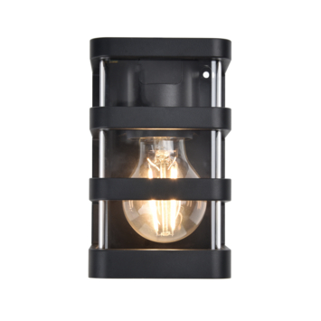 LUTEC wandlamp Dalton zwart 25W