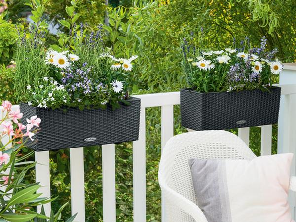 LECHUZA® Kunststoff-Kasten Balconera Cottage,