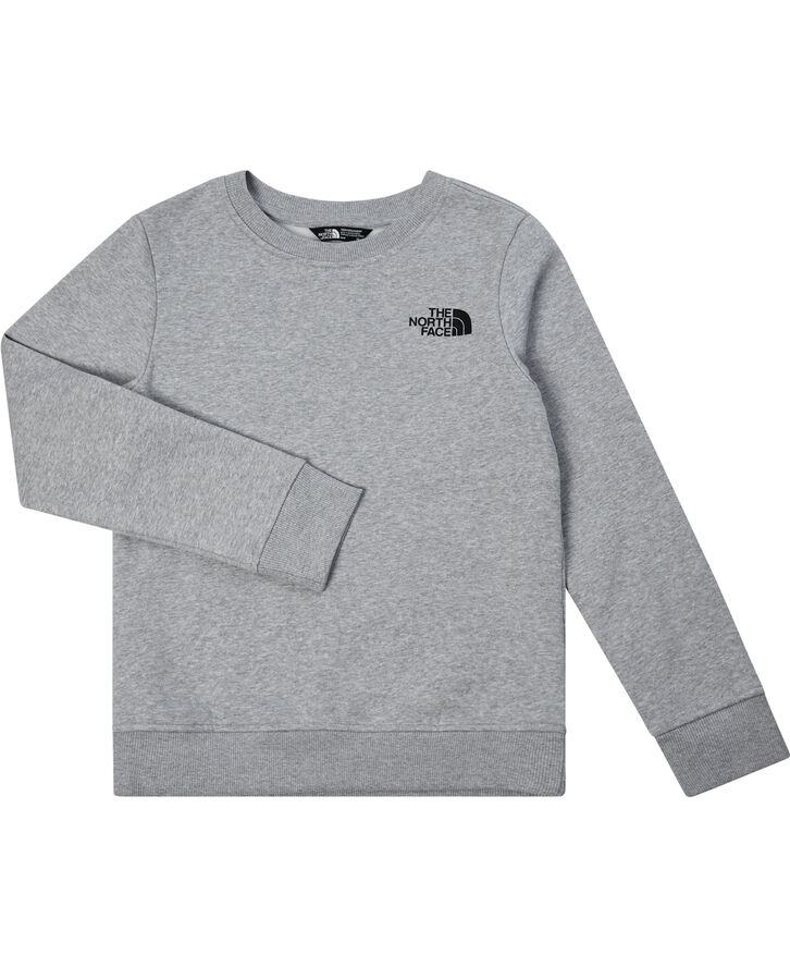 The North Face TEEN BOX NSE REGULAR CREW TNF LIGHT Grå