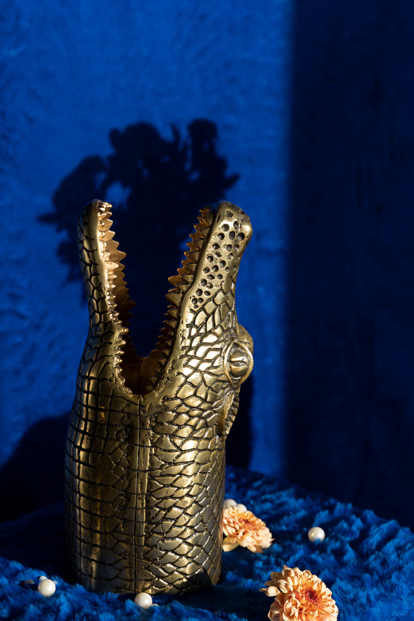 SEE YOU LATER ALLIGATOR Vaas